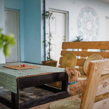 Ananda Tree House Eco Homestay Katmandou Extérieur photo