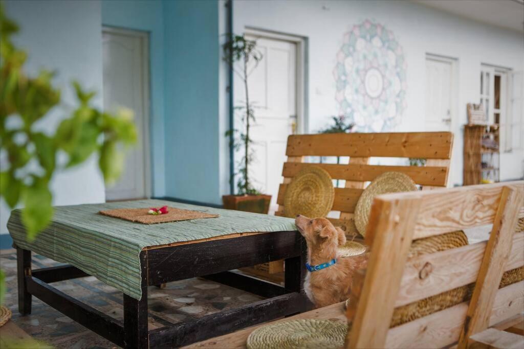 Ananda Tree House Eco Homestay Katmandou Extérieur photo